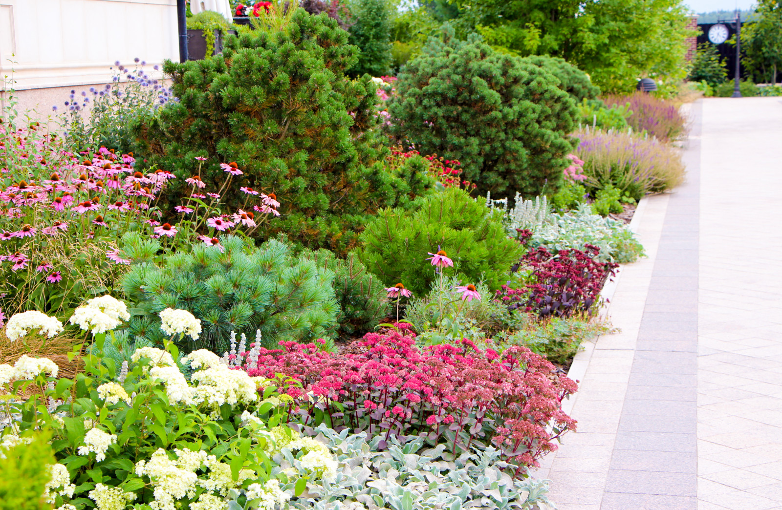 Горки-10, 2017-2020 г.г.