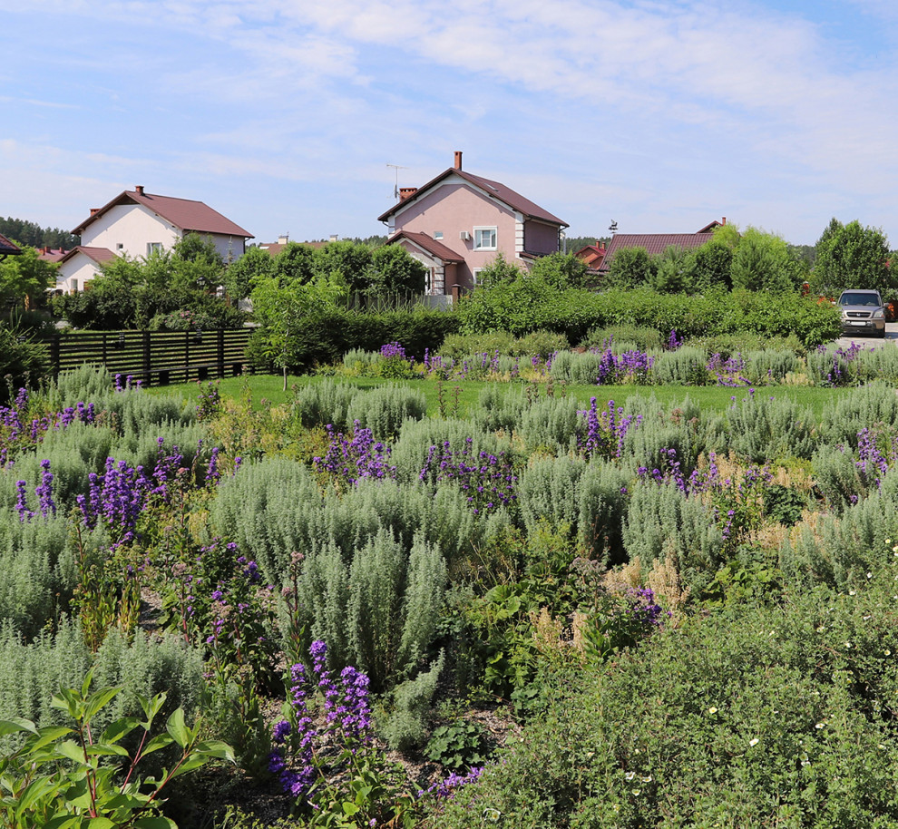 сад у стен цвета кладонии