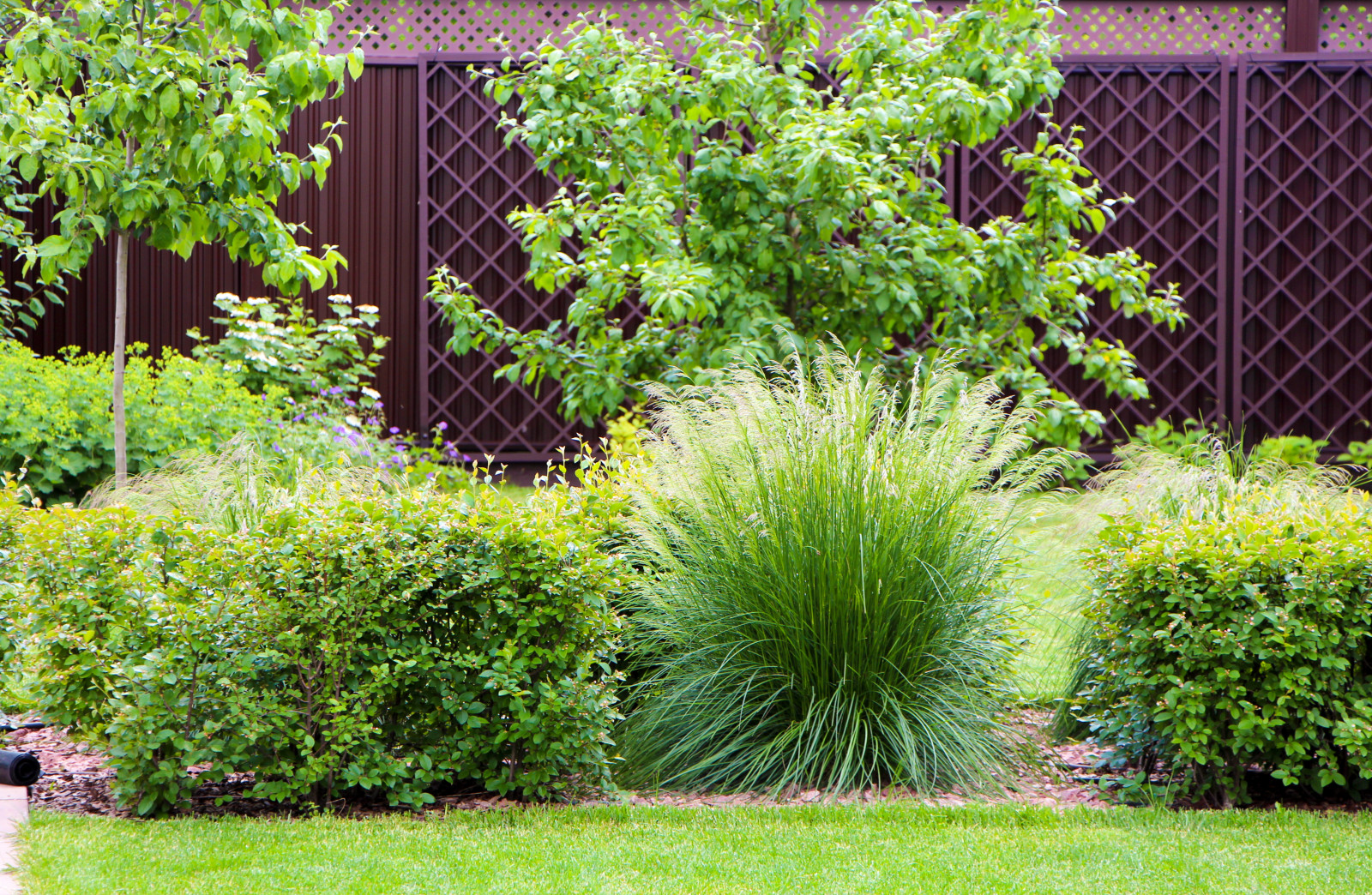 Петровское, 2018-2020 гг.