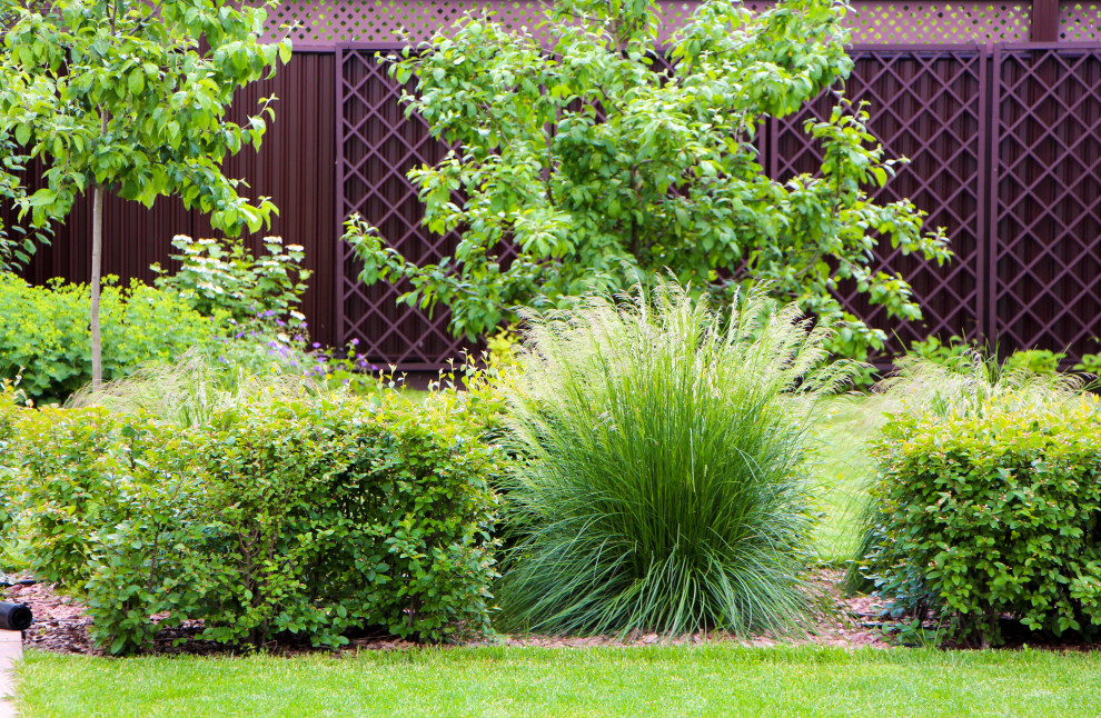 Петровское, 2018-2020 гг.