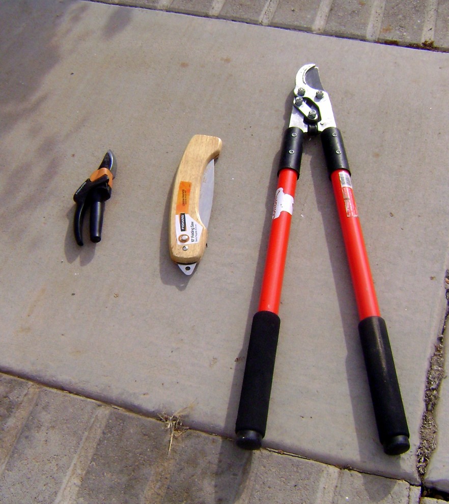 И все-таки уже весна: Календарь садовода на март