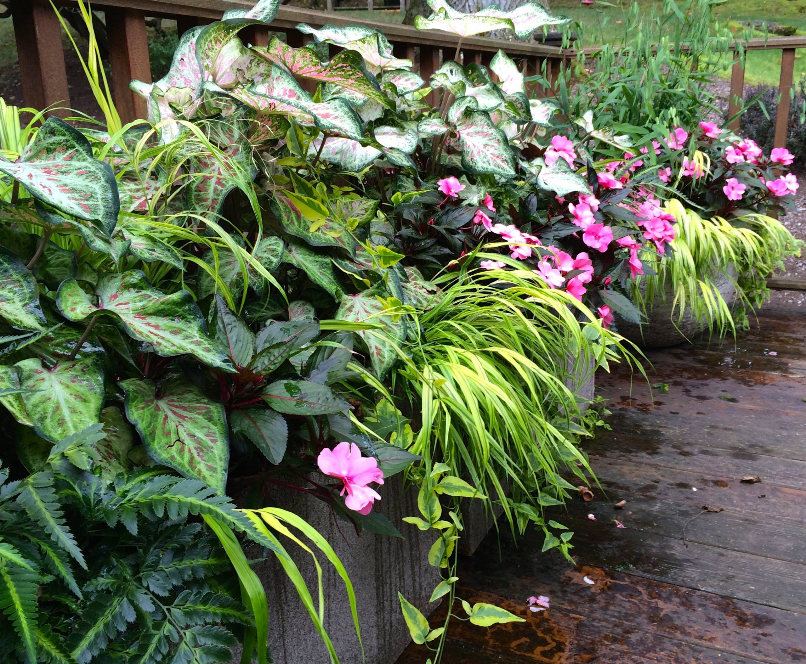 Горшку — место: 14 идей, куда можно поставить растения в кашпо