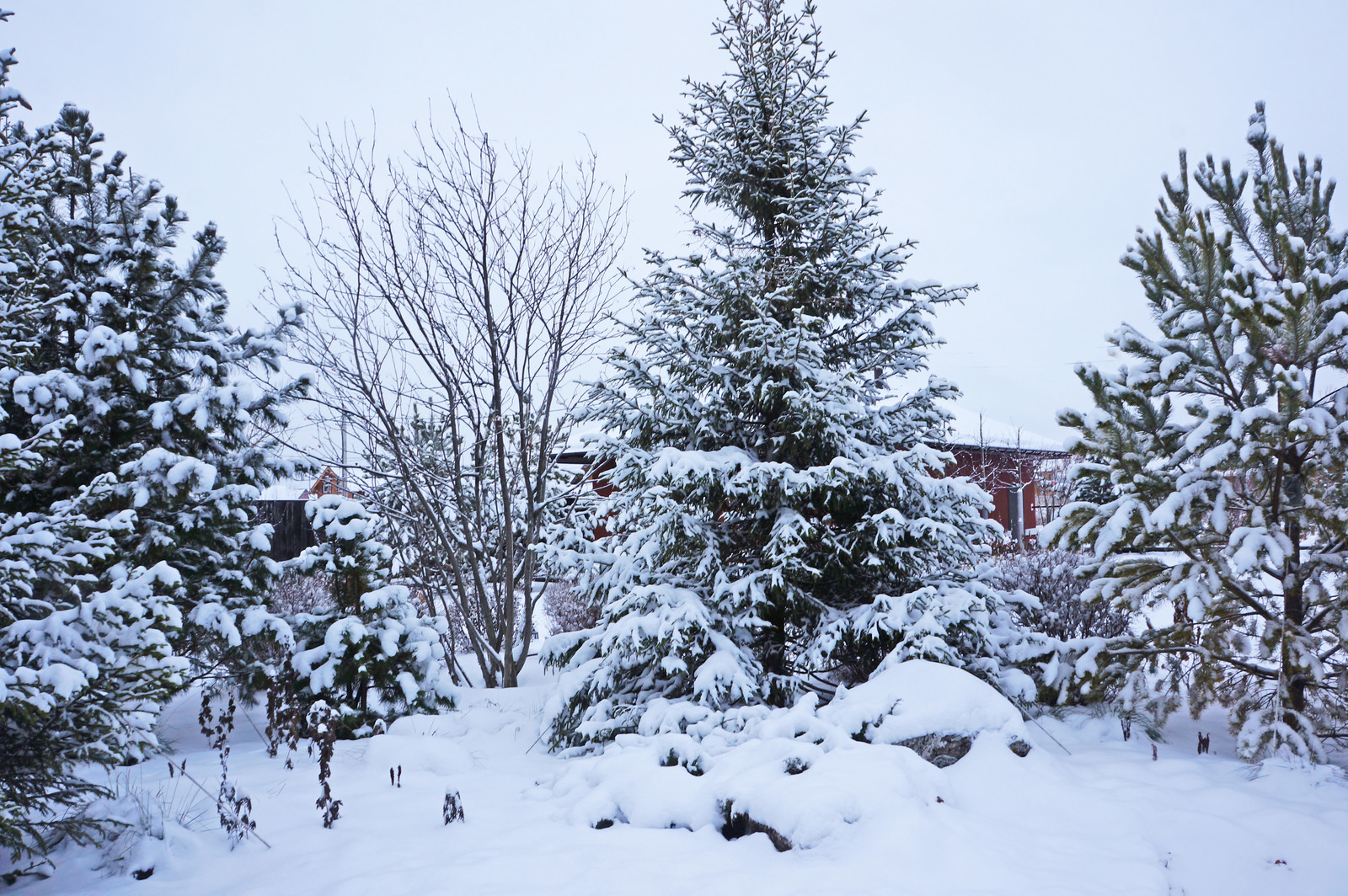 Счастливый сад