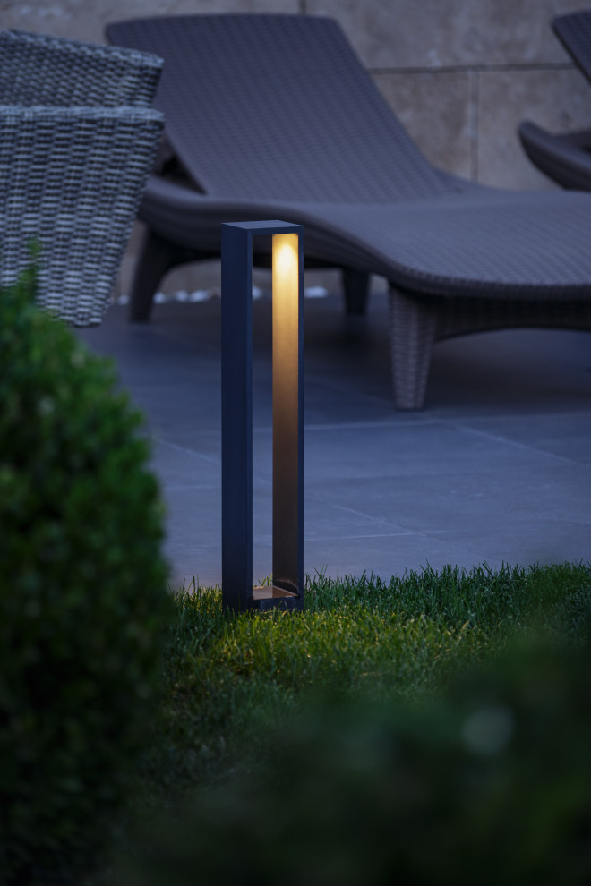 Розмарин. Ландшафтный Дизайн