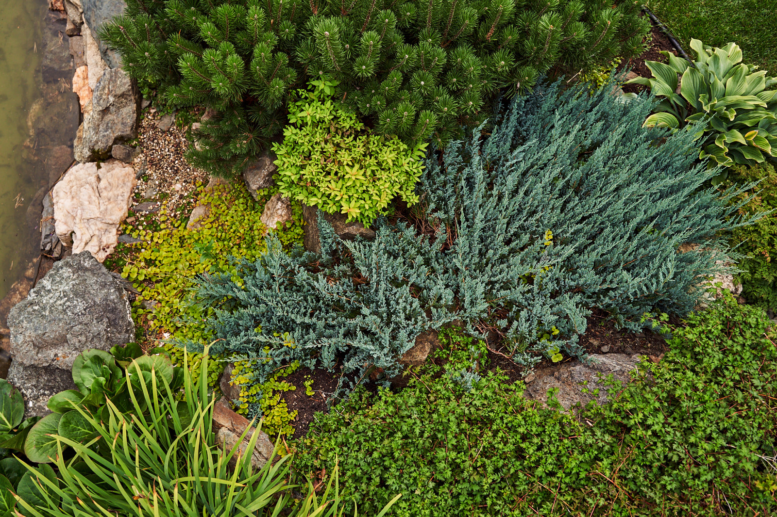 Простор и комфорт загородной жизни