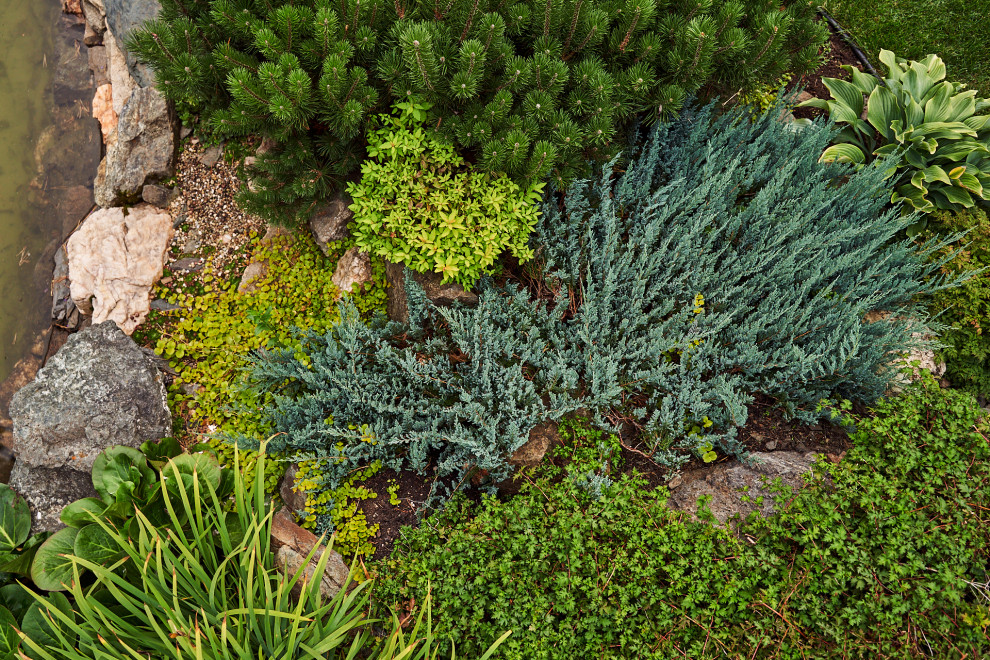 Простор и комфорт загородной жизни