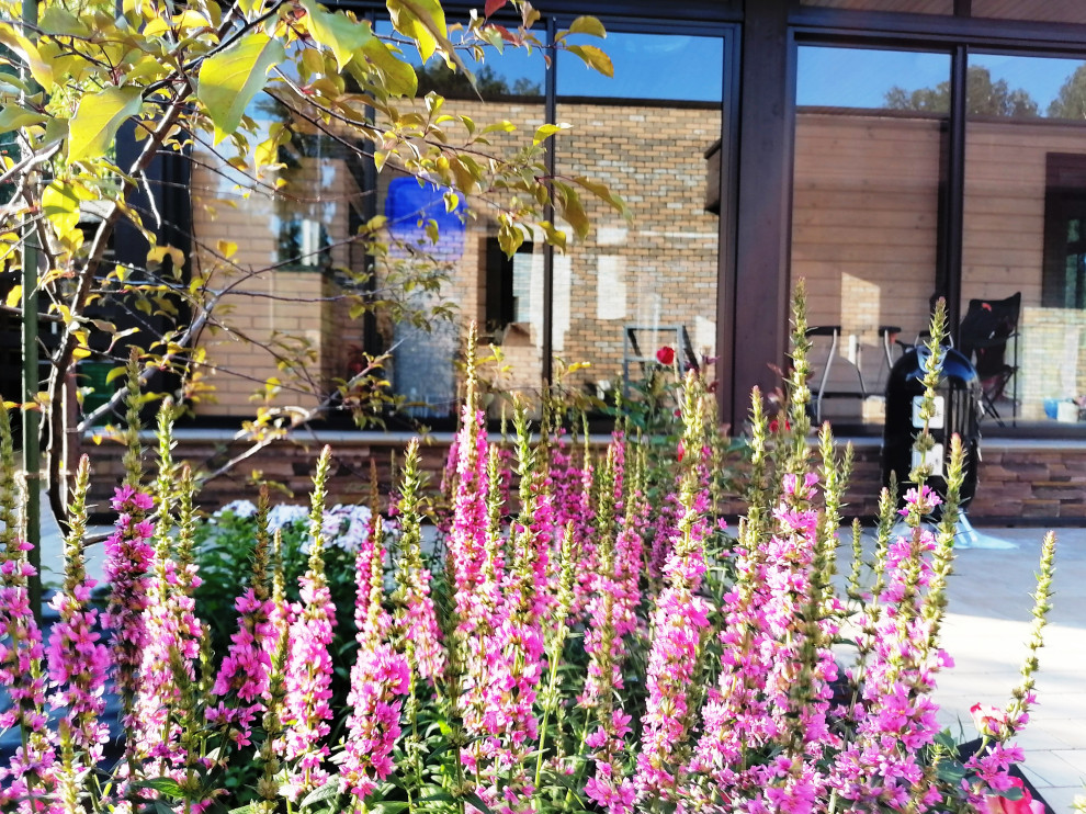 Обложка проекта: Небольшой сад в современном стиле