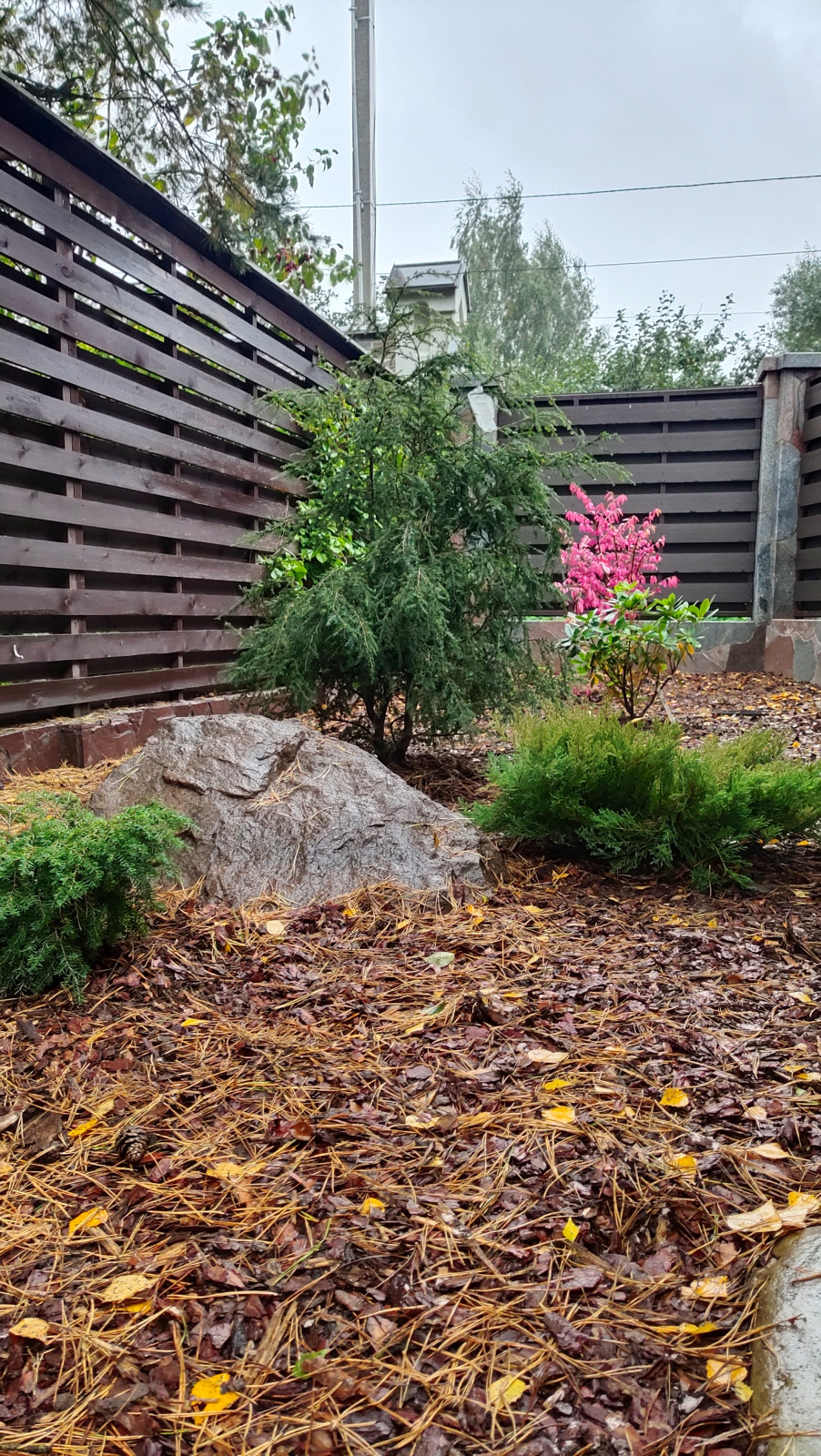 Николина гора