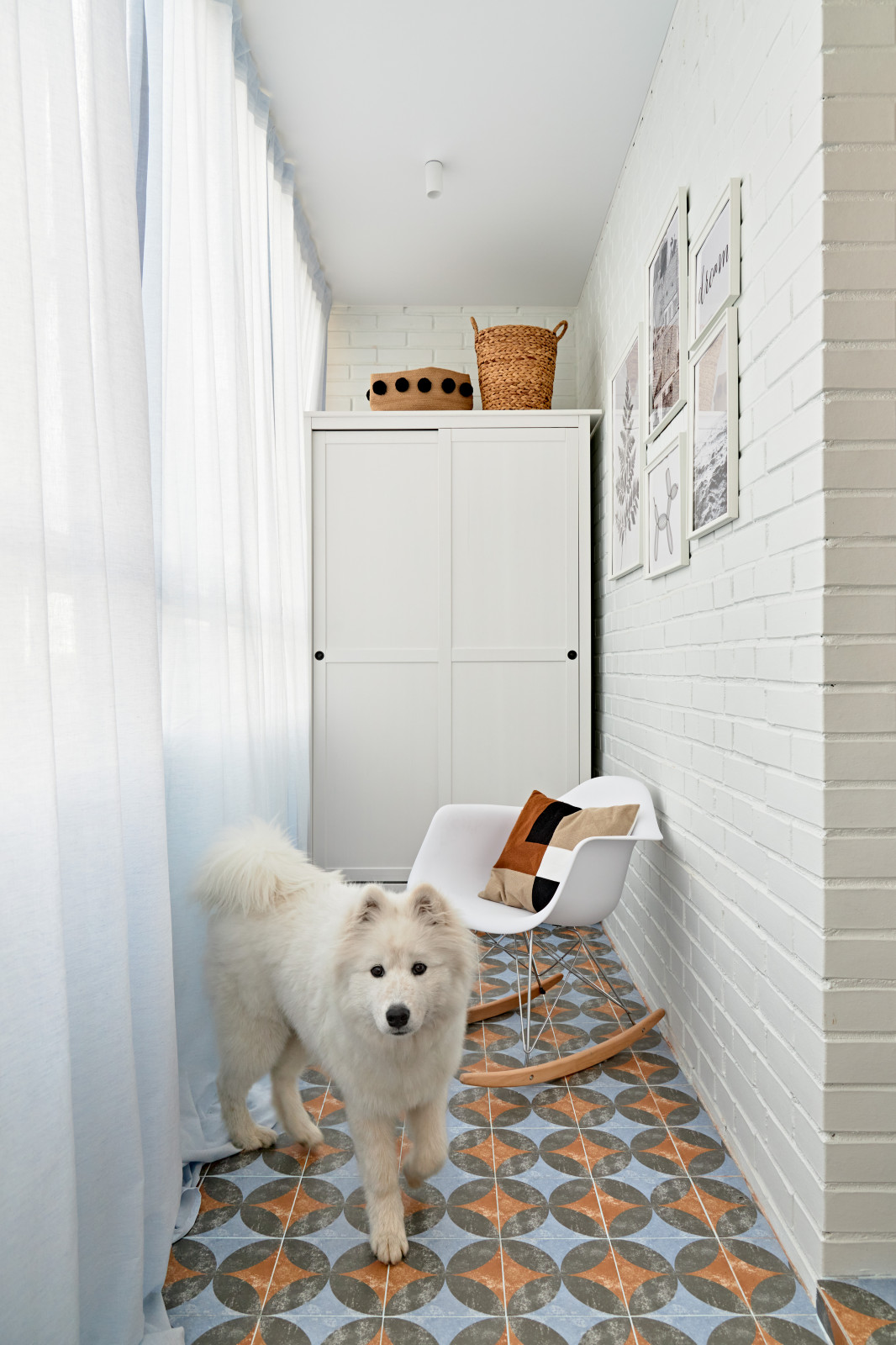 Квартира с хаски