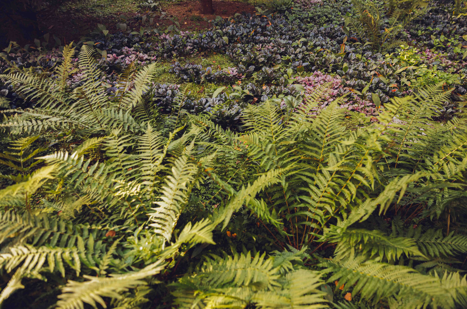 Архитектурное Решение в Пейзажном Стиле