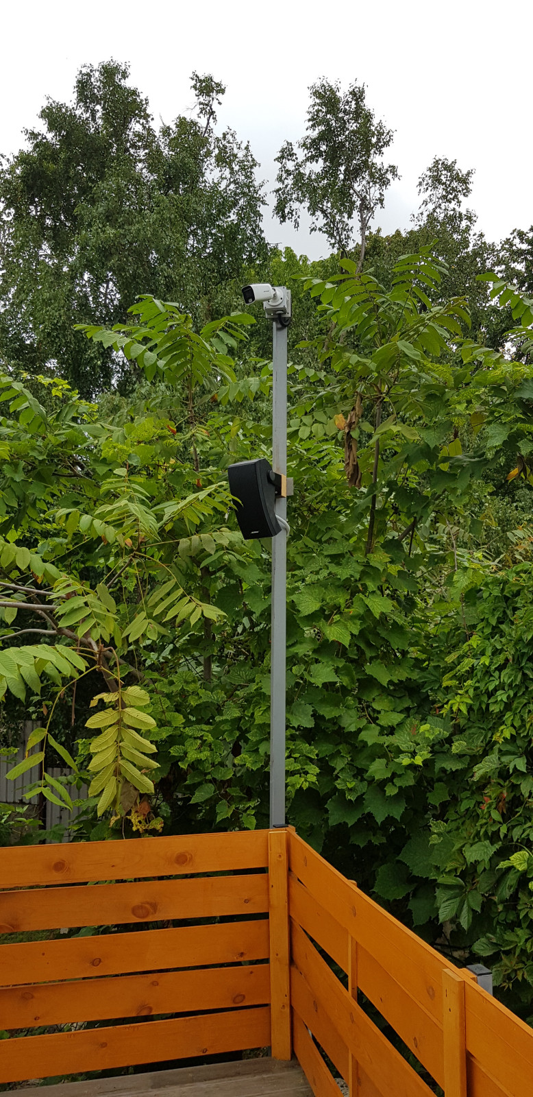 Уличное музыкальное сопровождение