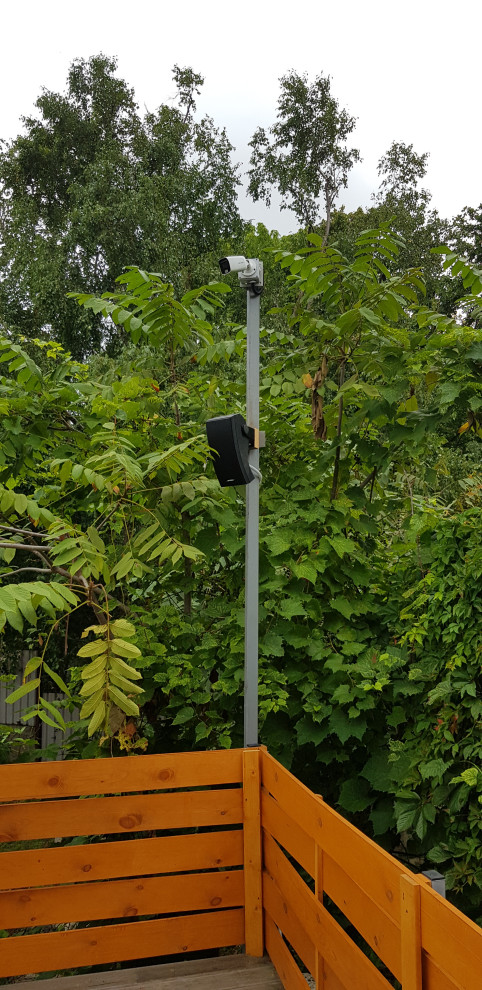 Уличное музыкальное сопровождение