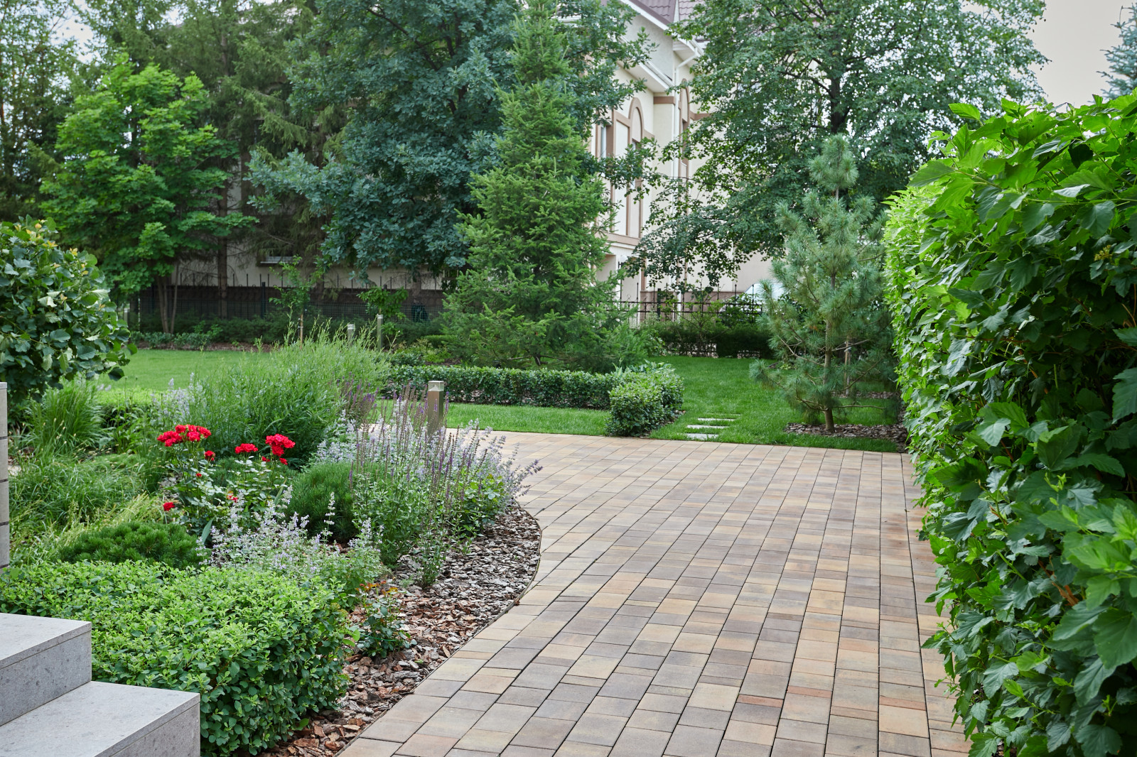 Чистые линии