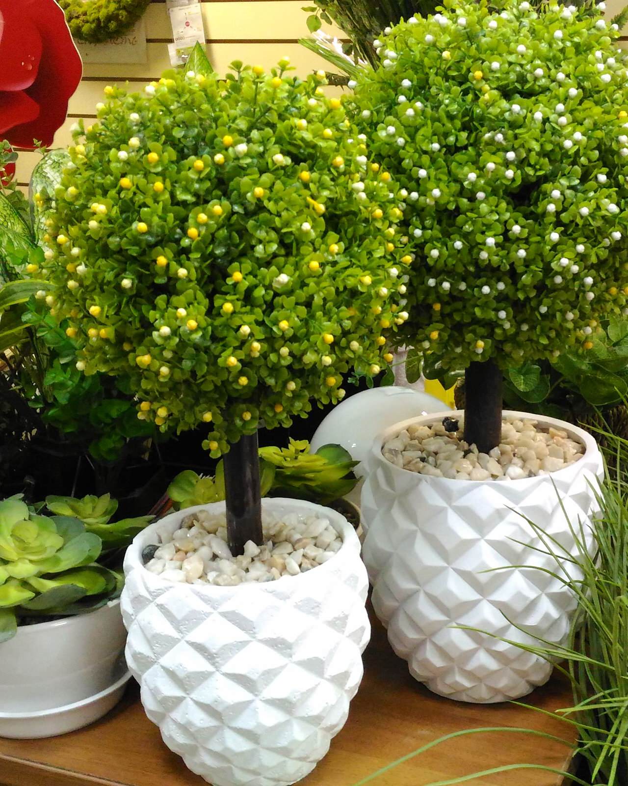 Дизайн-дебаты: Какими растениями украшать жилой интерьер