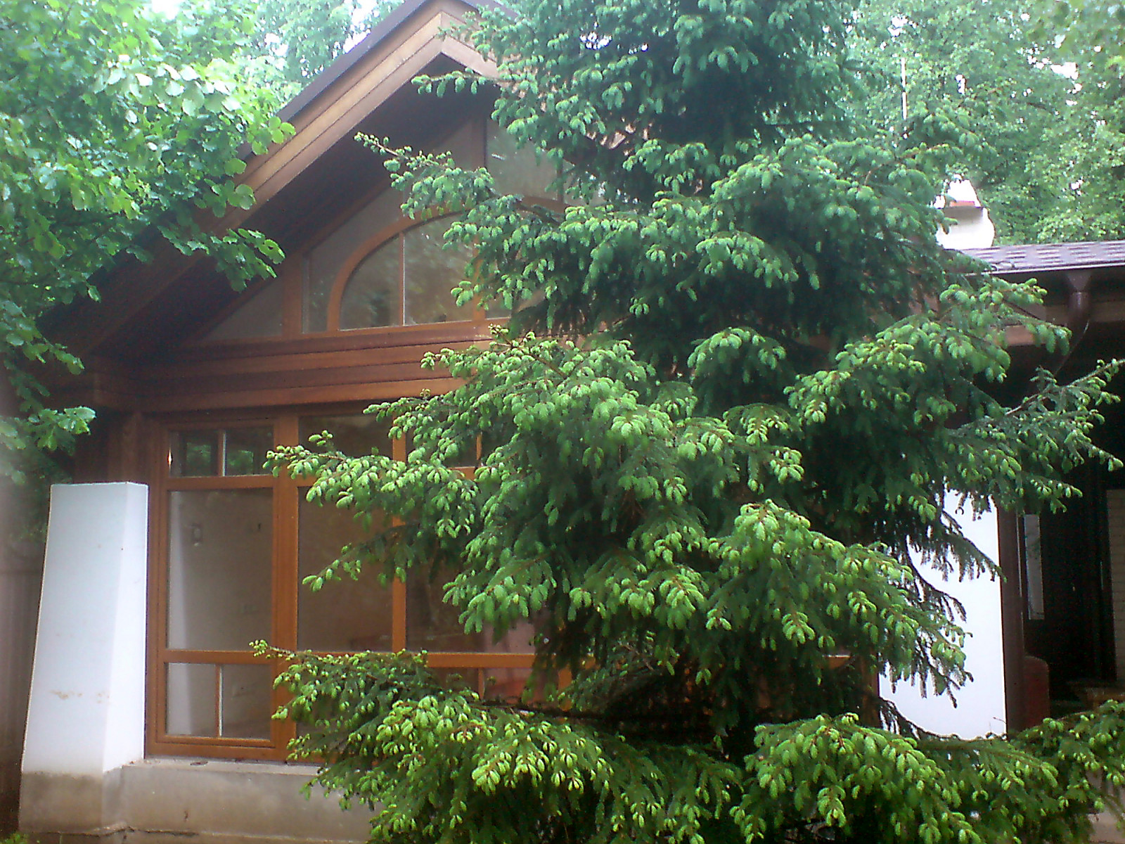 Обложка проекта: Маленький домик - бильярдная.