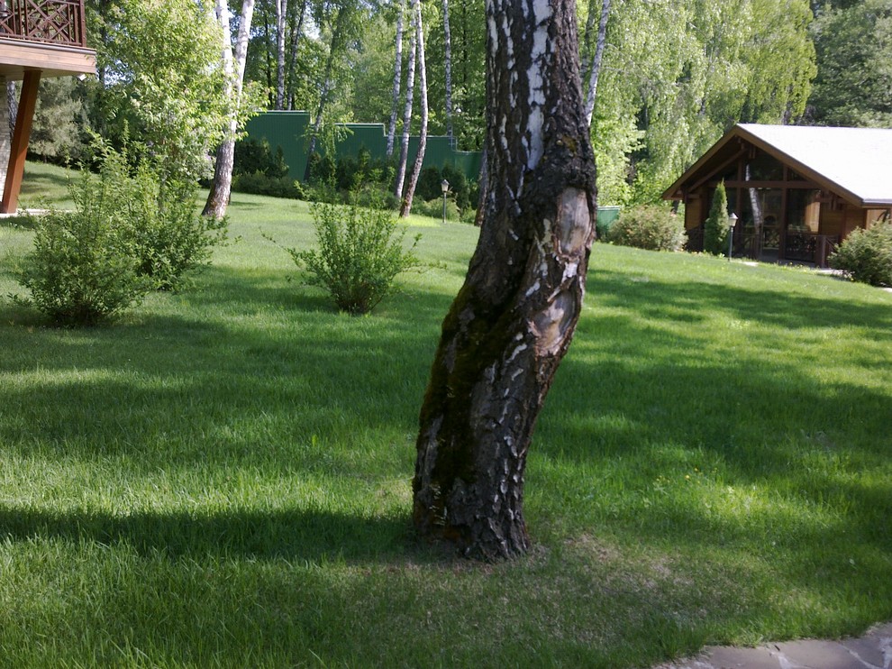 Ландшафтный дизайн 40 соток