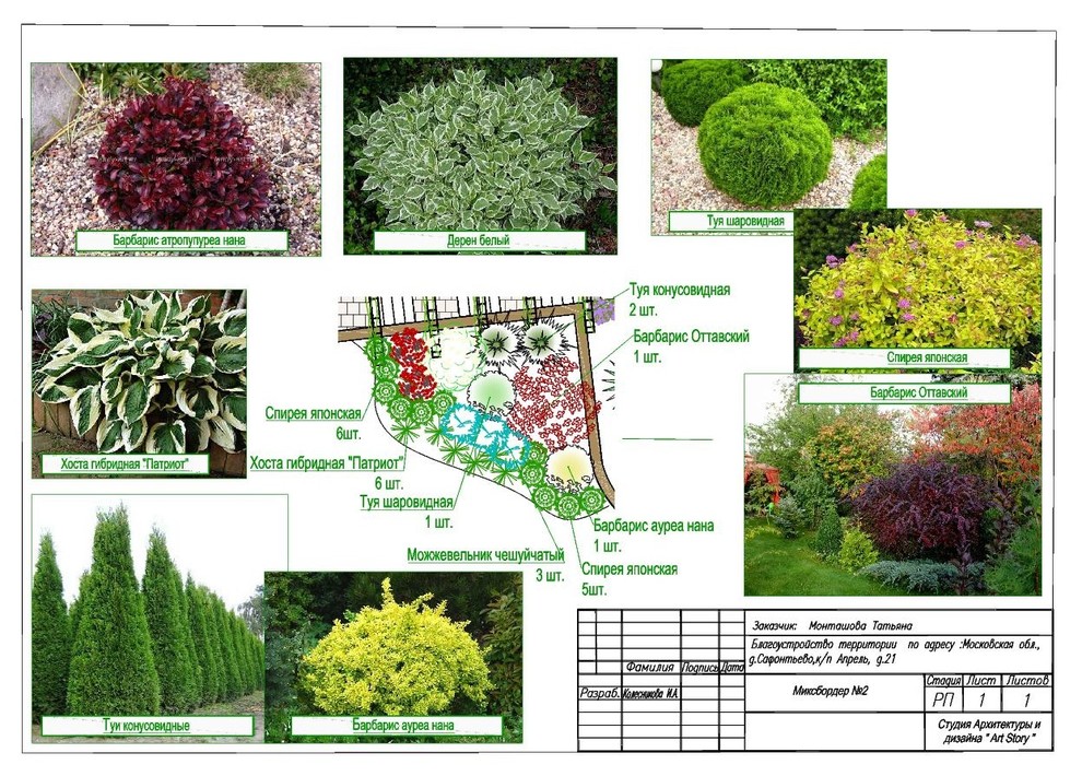 Ландшафтный дизайн - проект 40 соток