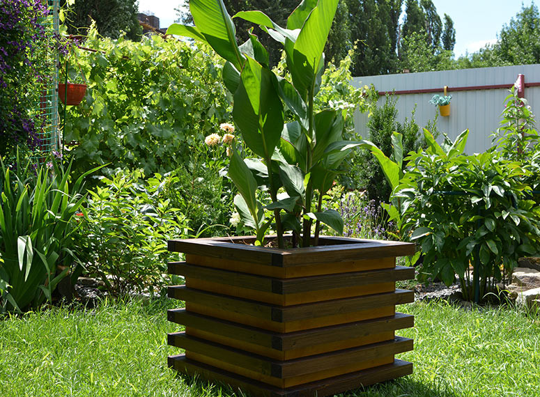 Обложка проекта: Утеплённая кадка для уличных растений