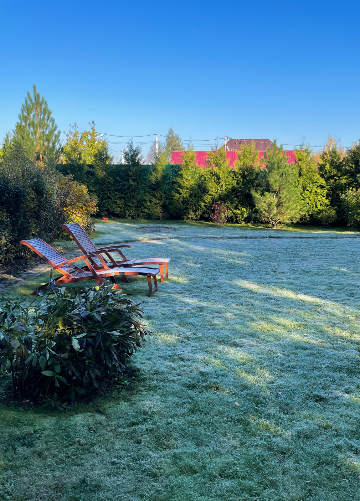 Обложка проекта: Травертин (2021г)