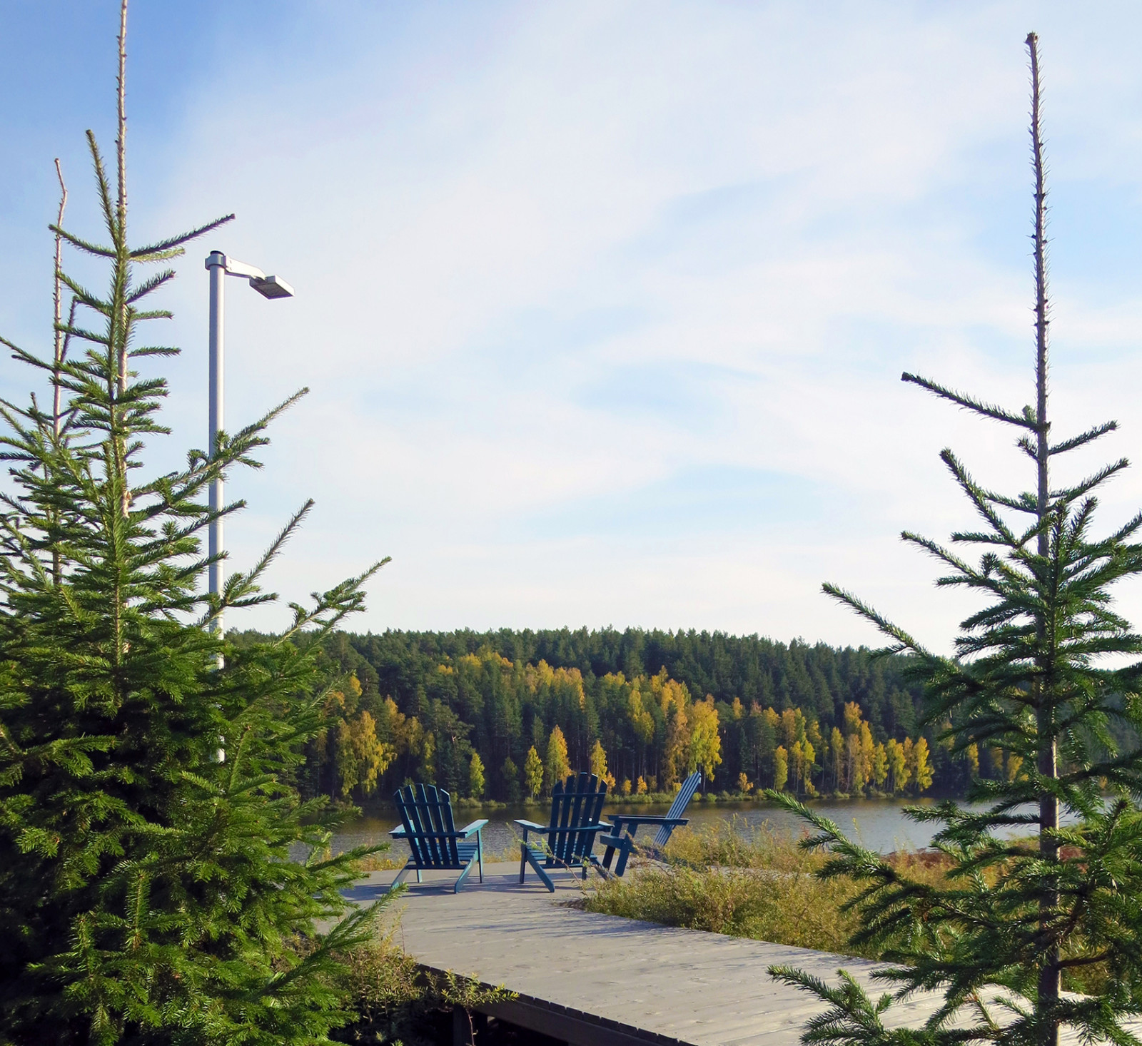 Обложка проекта: Полынный берег. Новые снимки