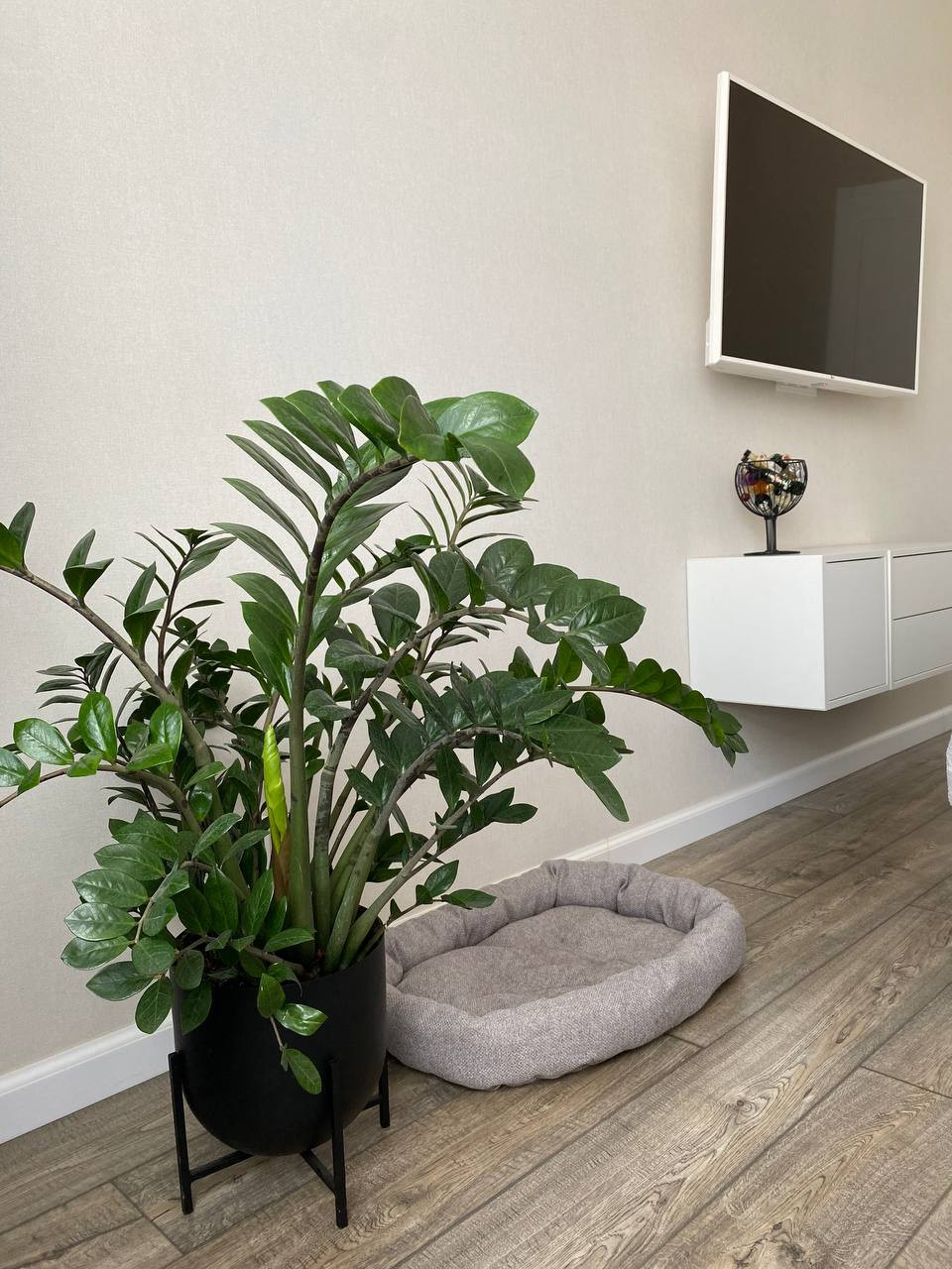 ЖК Скандинавия