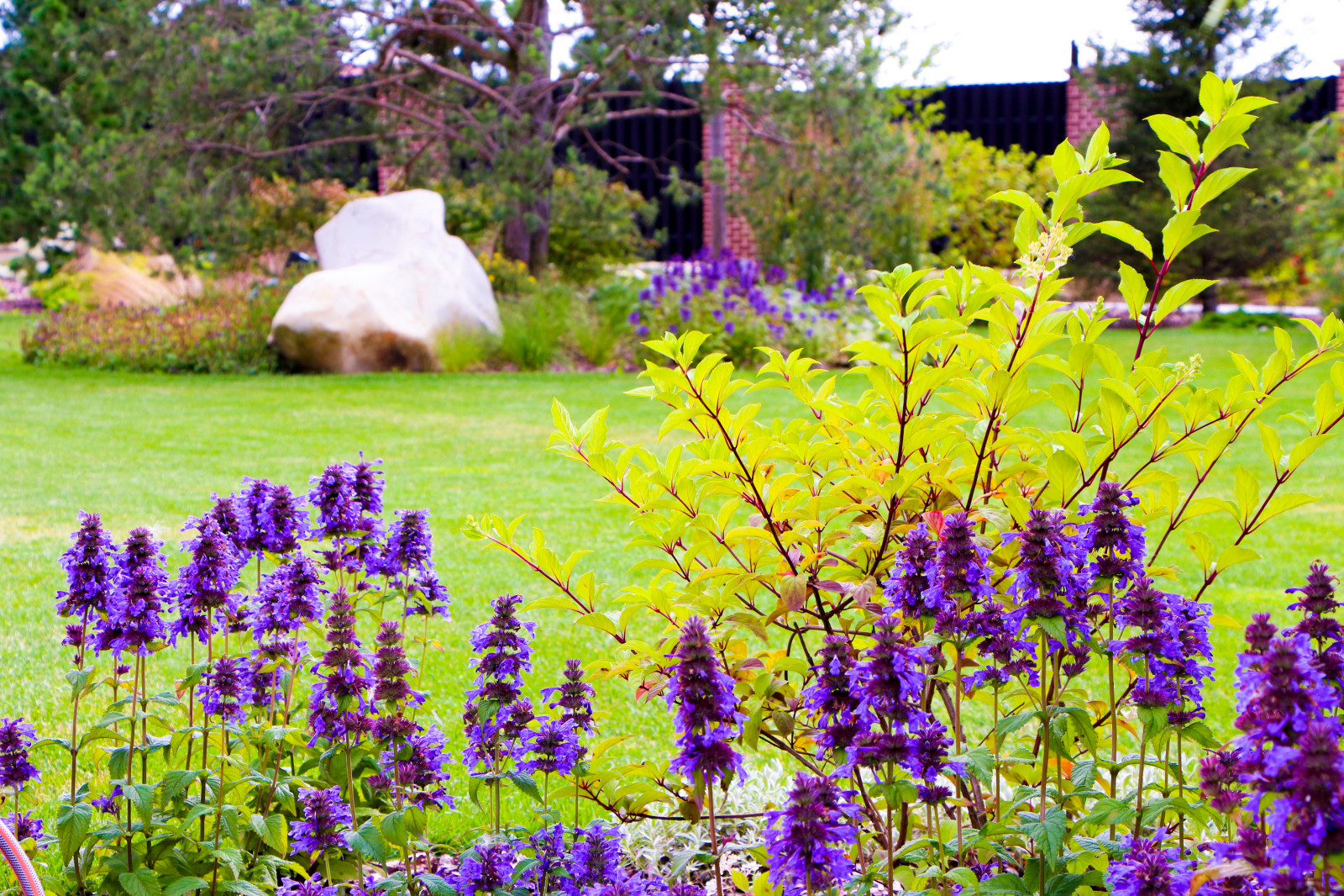 Горки-10, 2017-2020 г.г.