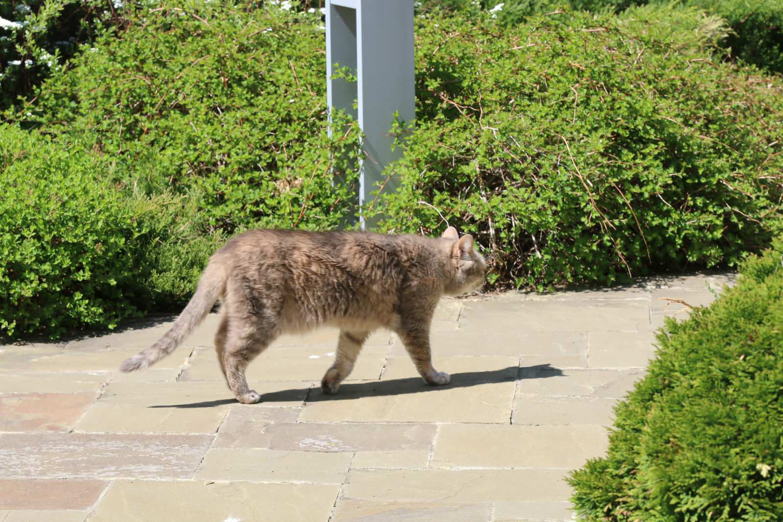 Композитор