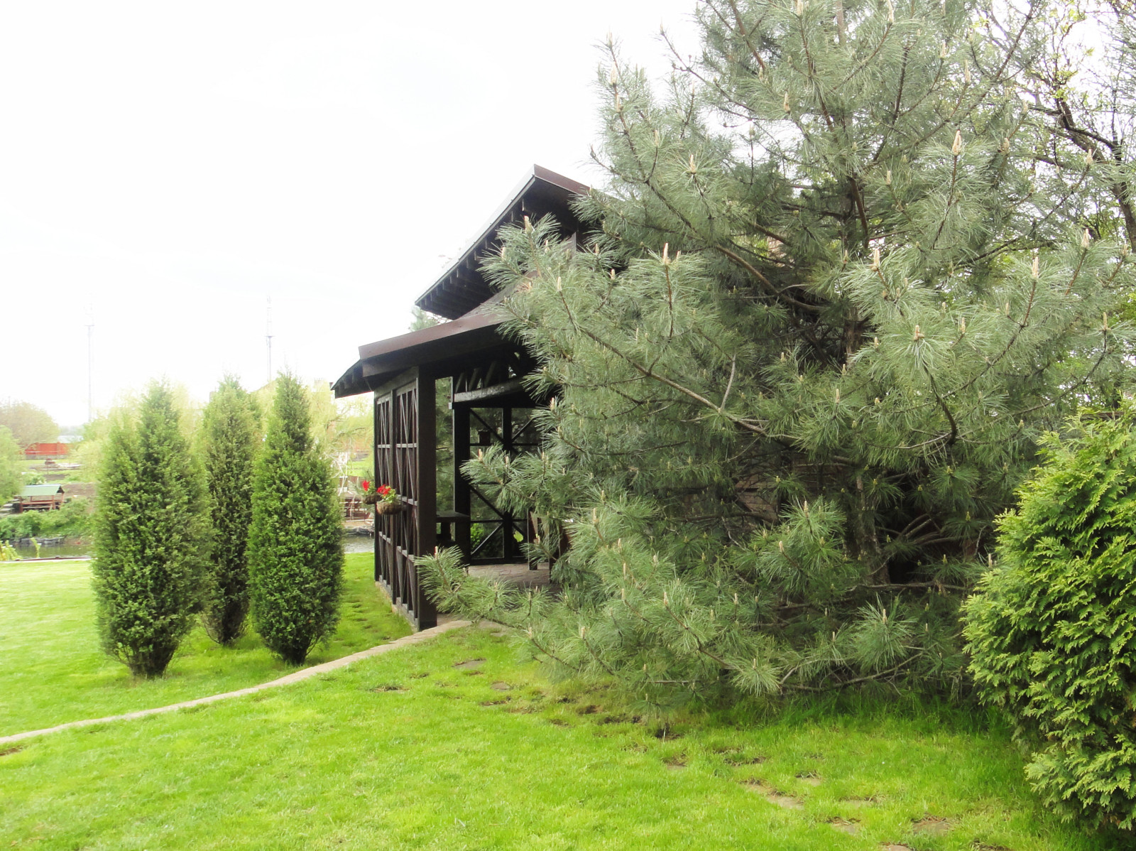 Ландшафт пос. Камышеваха