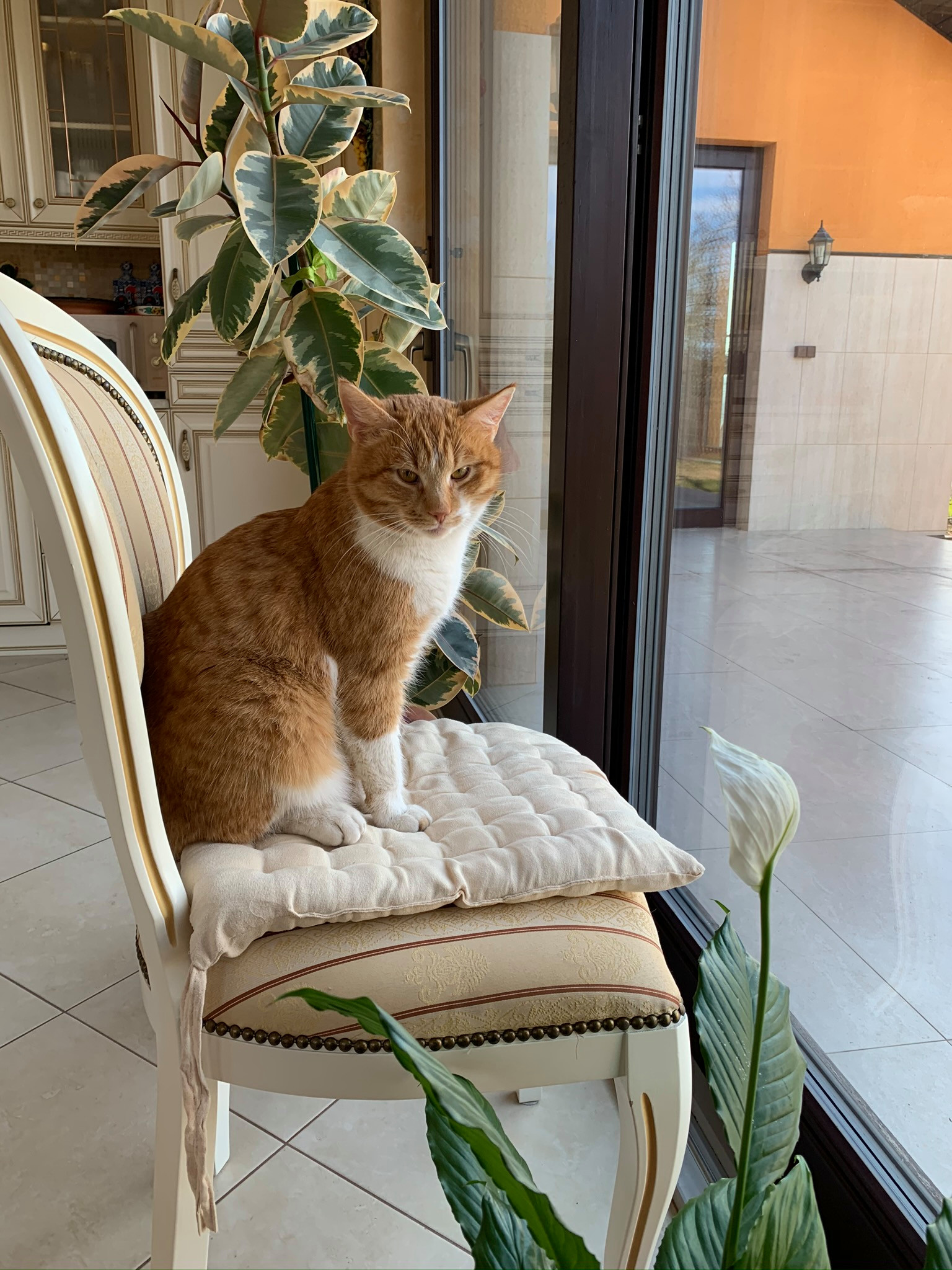 Личный опыт: Робот-мойка окон и другие гаджеты для частного дома