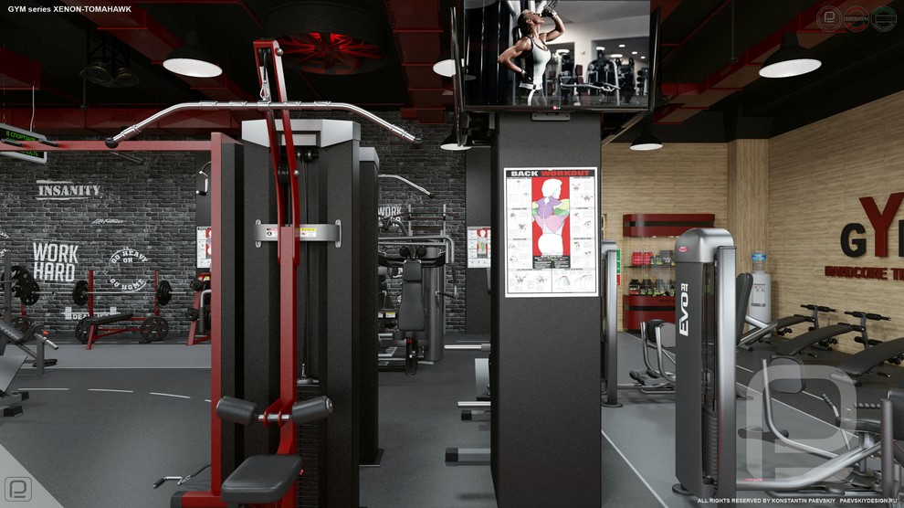 Тренажерный зал GYM series XENON-TOMAHAWK