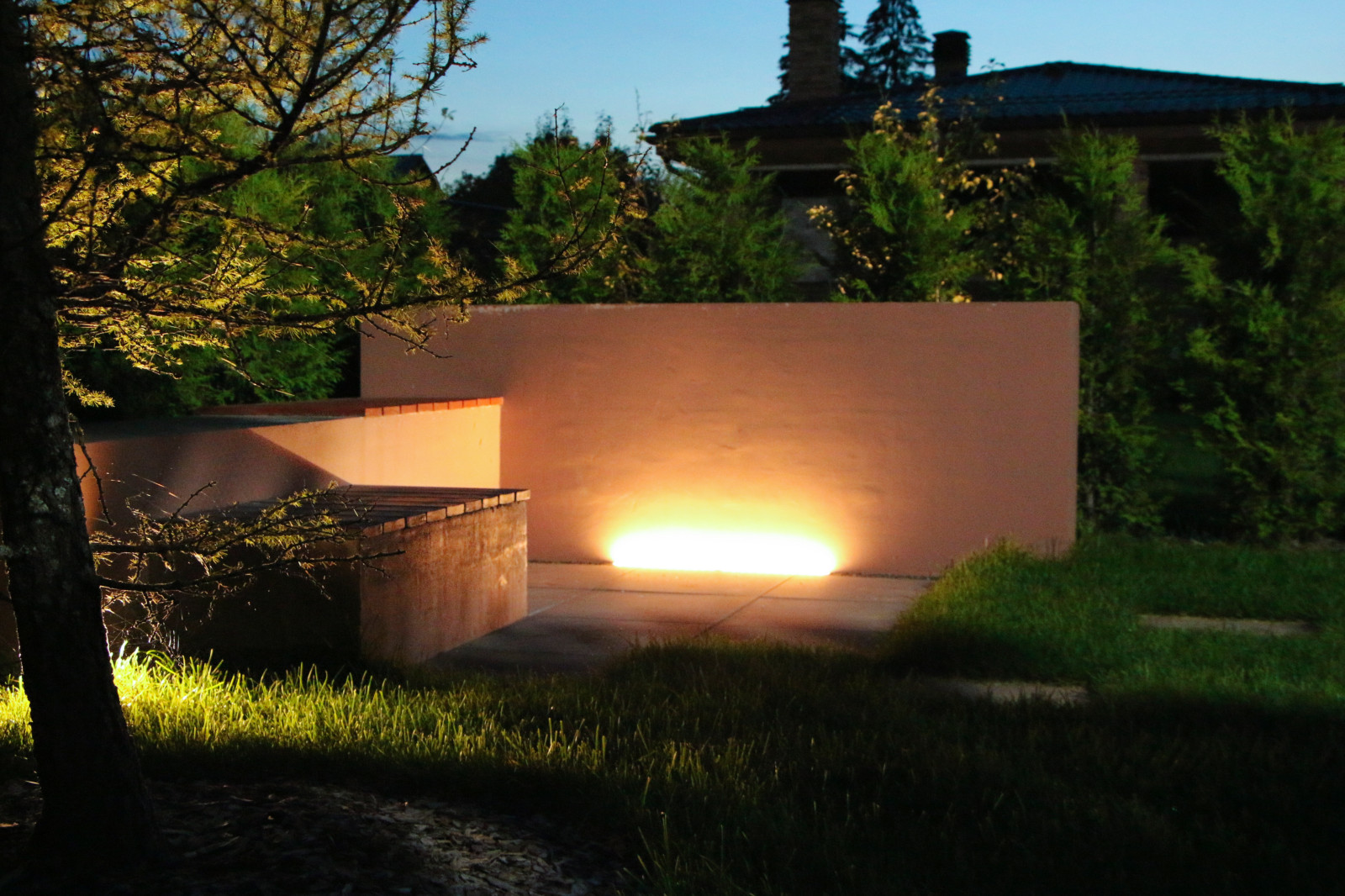 Петровское, ночной сад, 2018-2020 гг.