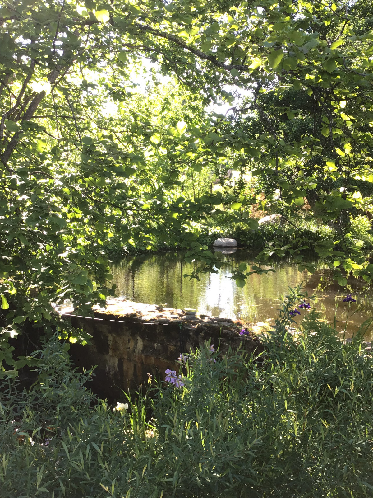 Обложка проекта: Сад натуралистического стиля