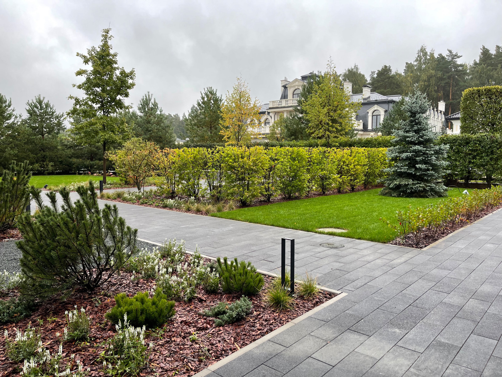 Обложка проекта: Ренессанс