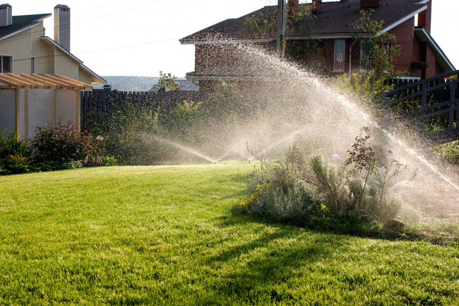 Полив в саду. Подмосковье.