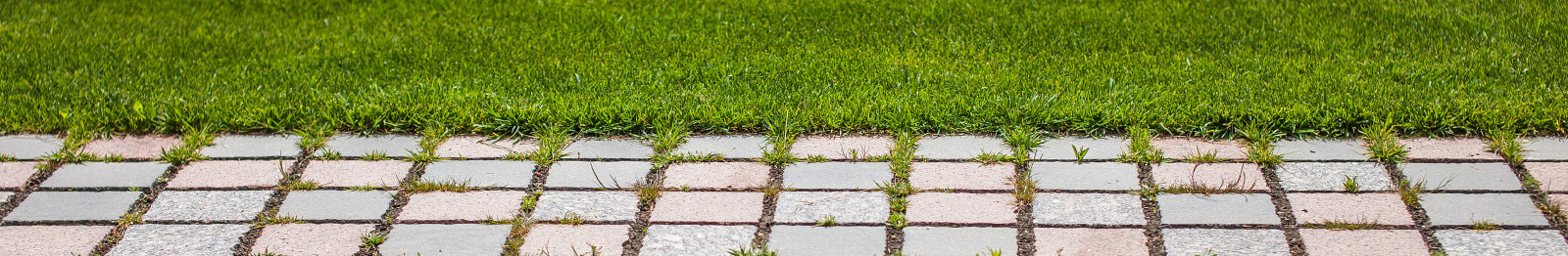 Ландшафтный дизайн