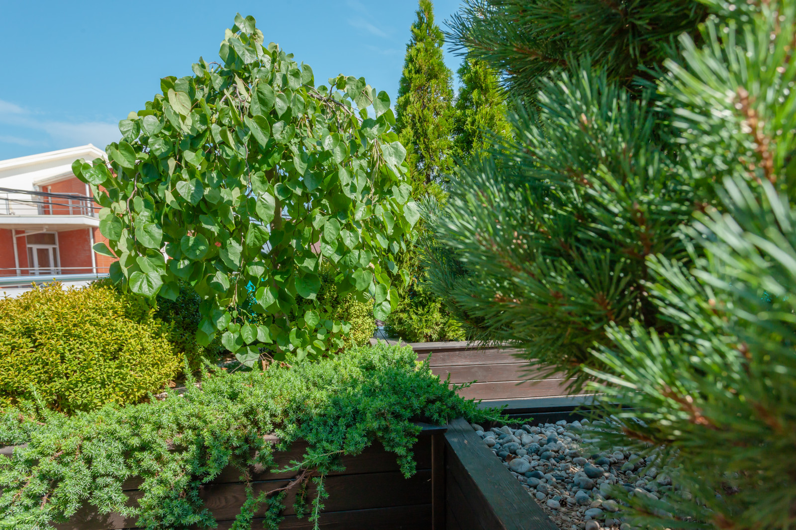 "Сад с морской душой"