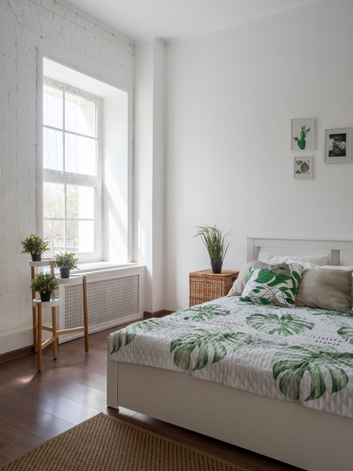 Юлия Плаксина