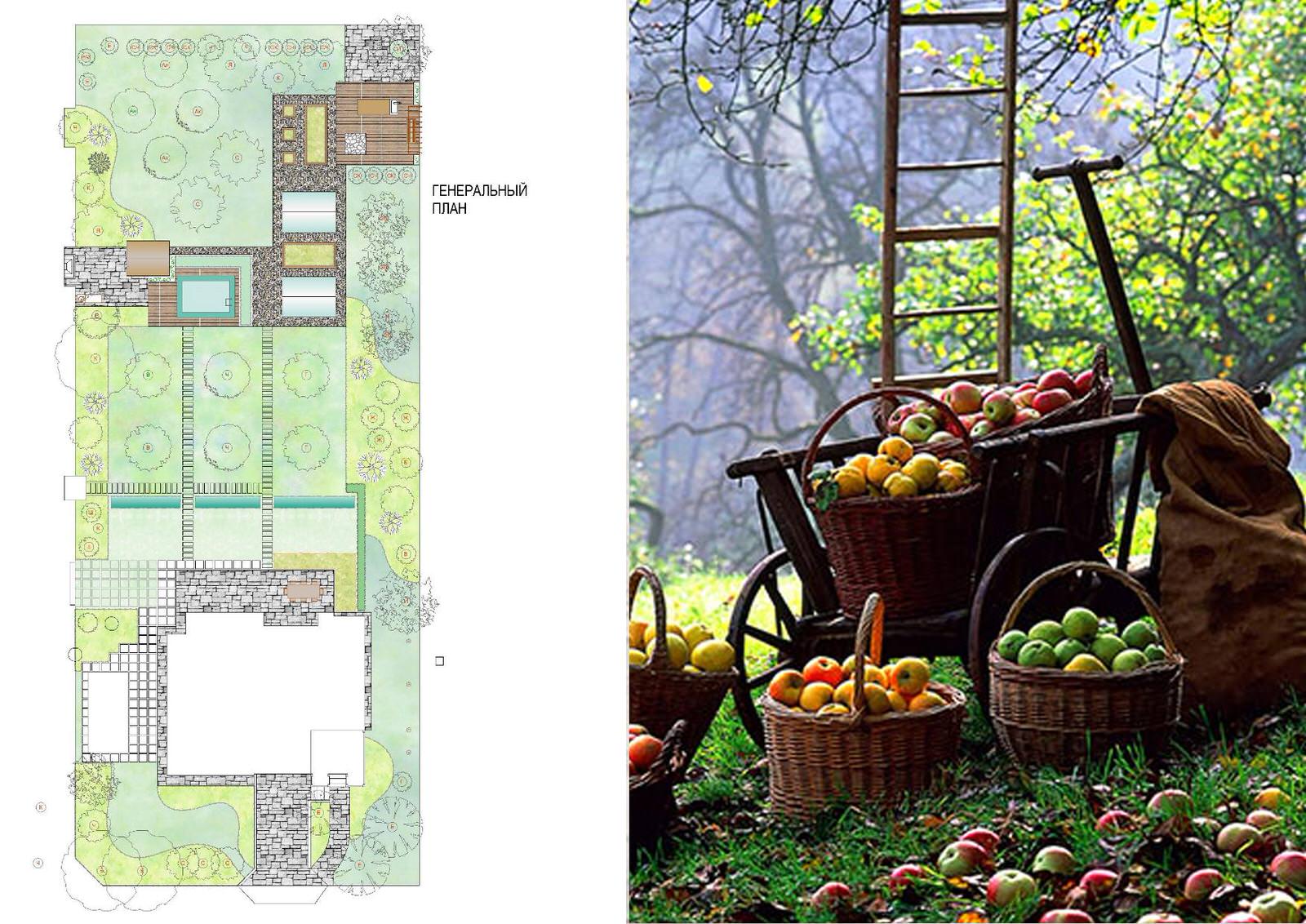 Генеральный план