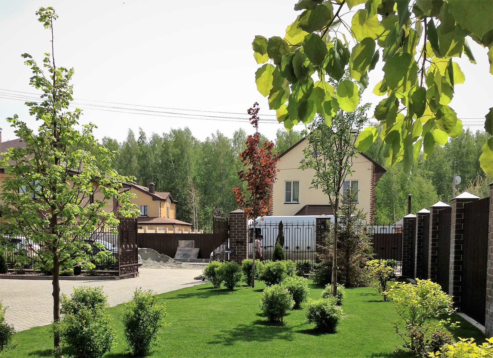 Вавиловец 1