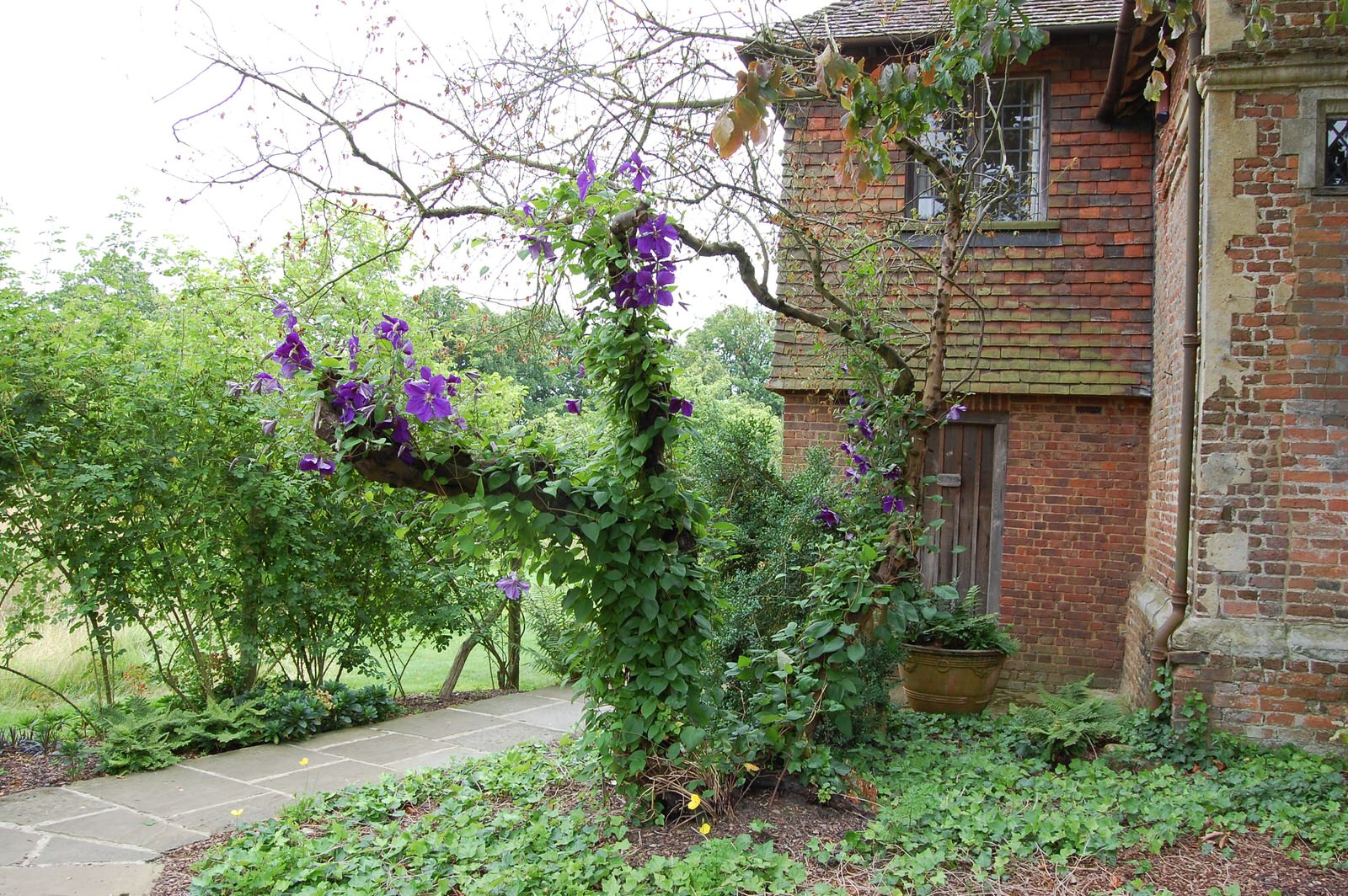 Наши статьи: "Сад пяти чувств". Фото 5