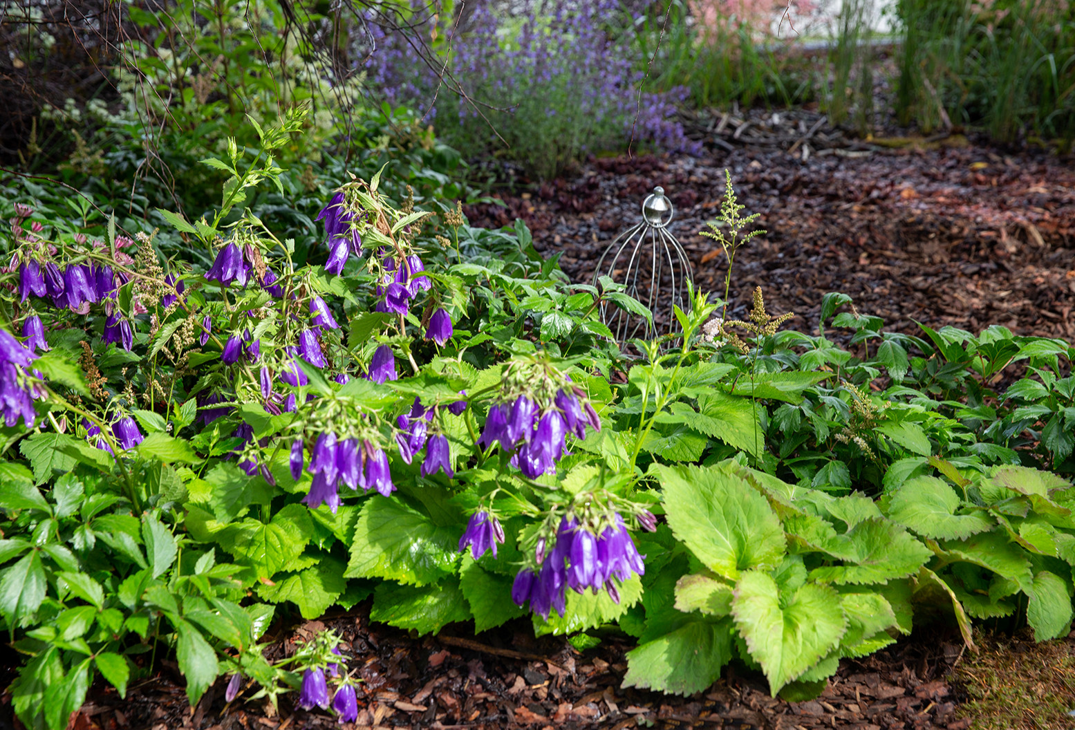 Проект недели: Сад «Декорации Метерлинка» на выставке в Москве