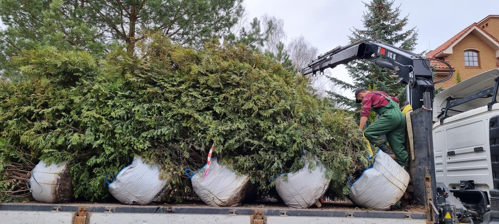 В работе 2022 и старше