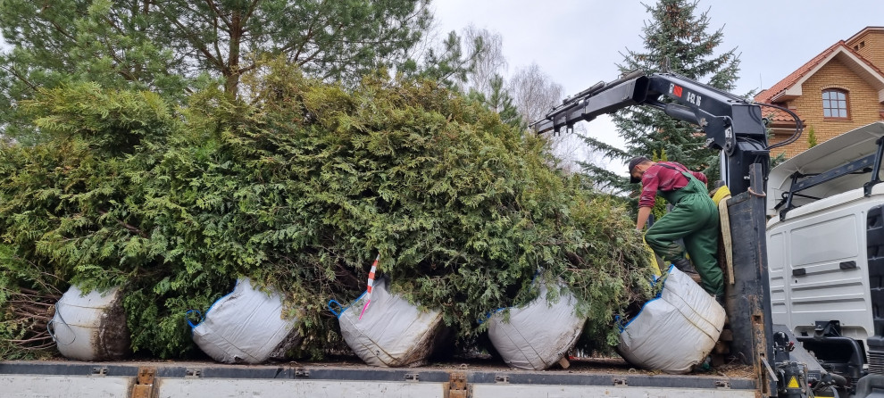 В работе 2022 и старше