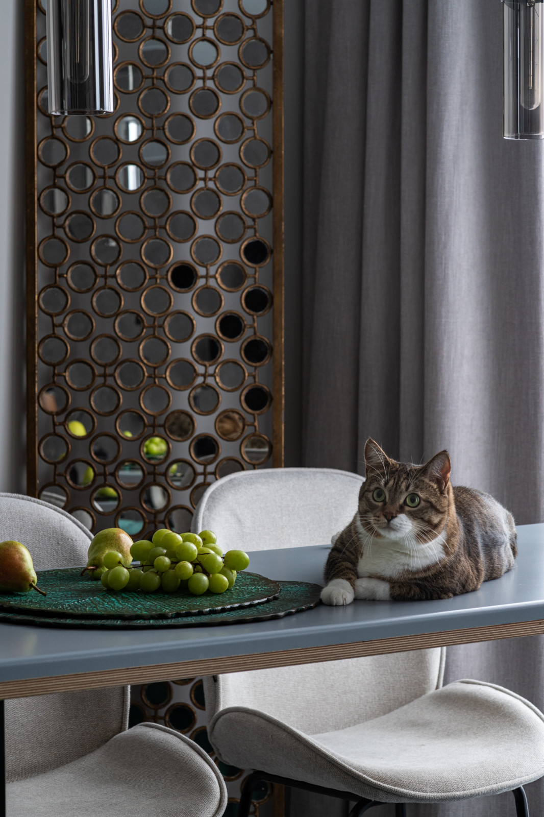 Кошачий рай