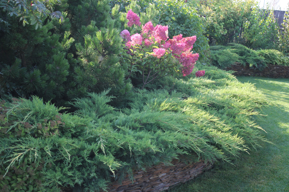 В гостях у Сказки