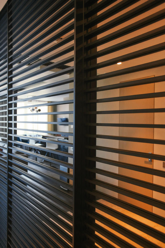 Подвесные двери raumplus с накладными разделителями S1200 Air