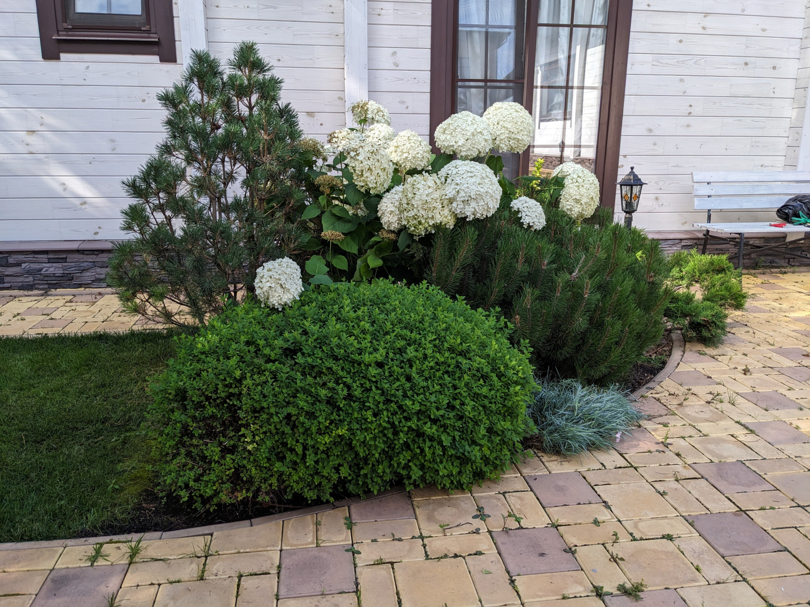 Сад принцессы