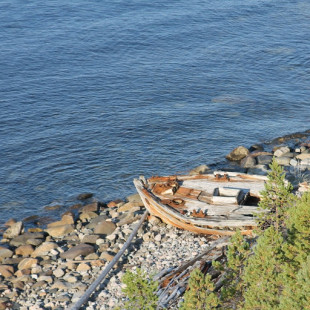 Марианна Александрова