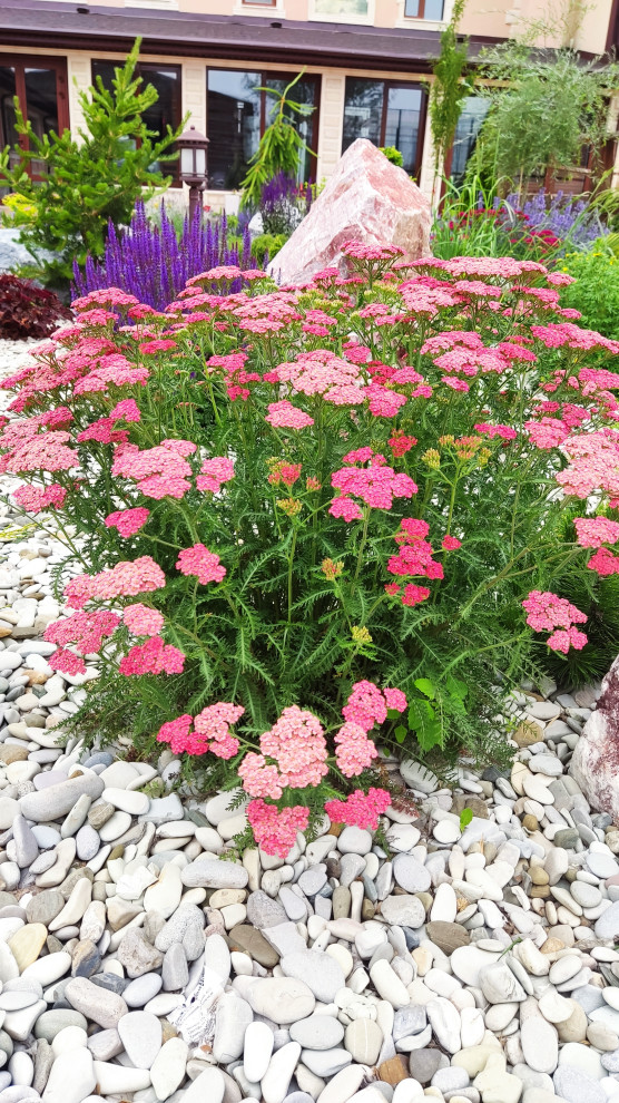 Композиции в саду