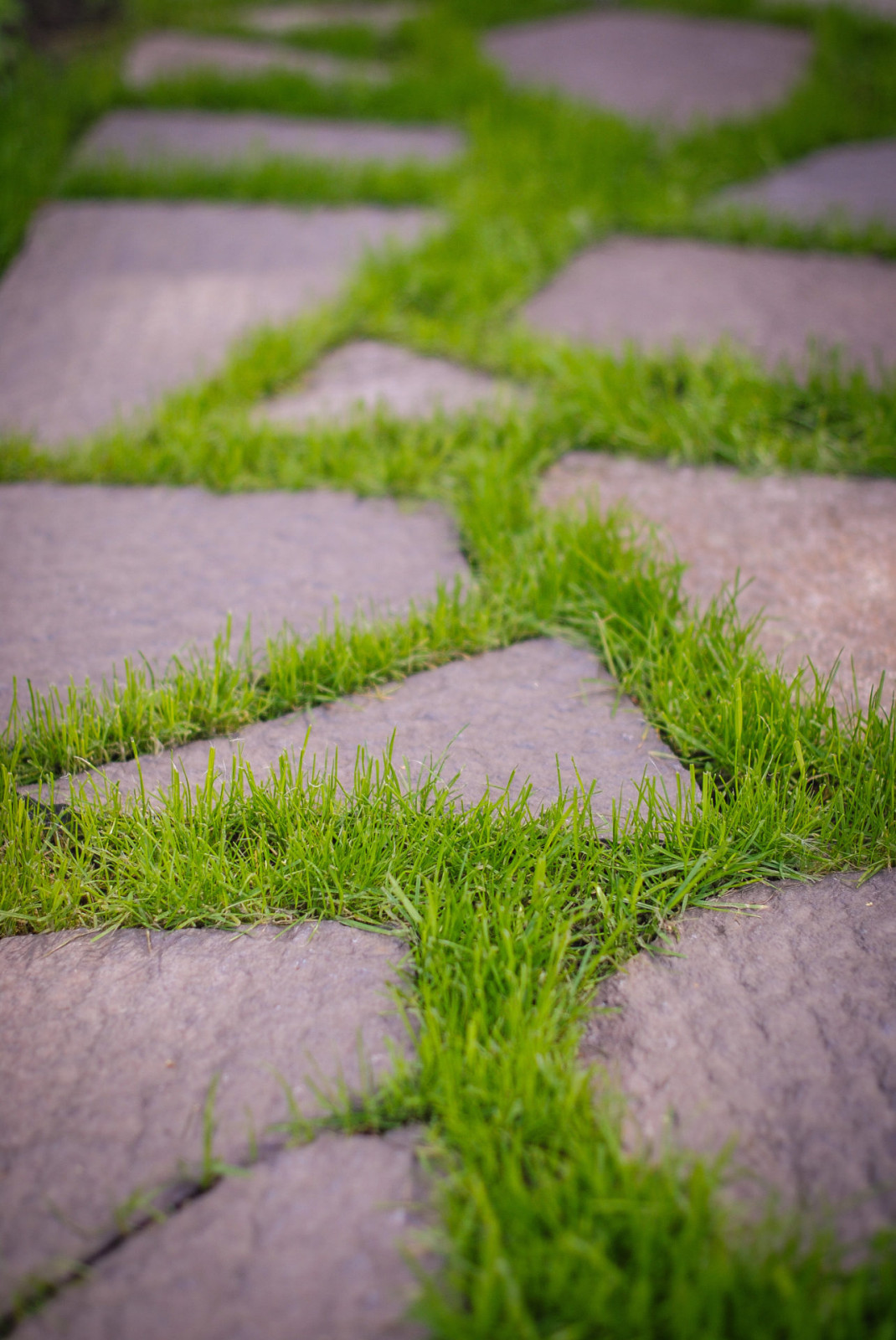 Чистые ключи